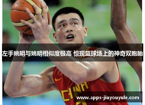 左手姚明与姚明相似度极高 惊现篮球场上的神奇双胞胎