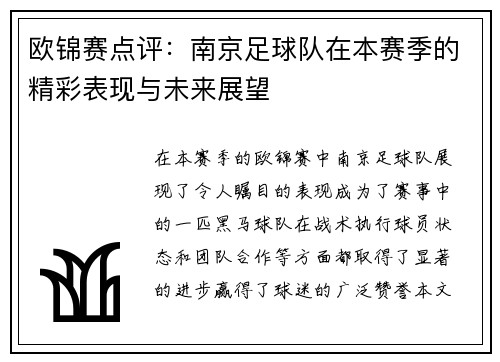 欧锦赛点评：南京足球队在本赛季的精彩表现与未来展望