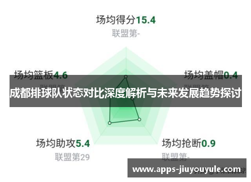 成都排球队状态对比深度解析与未来发展趋势探讨